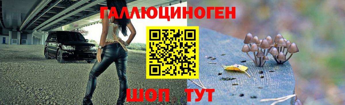 Мичуринск  Галлюциногенные грибы Magic Shrooms  магазин  наркотиков  Вход с VPN 